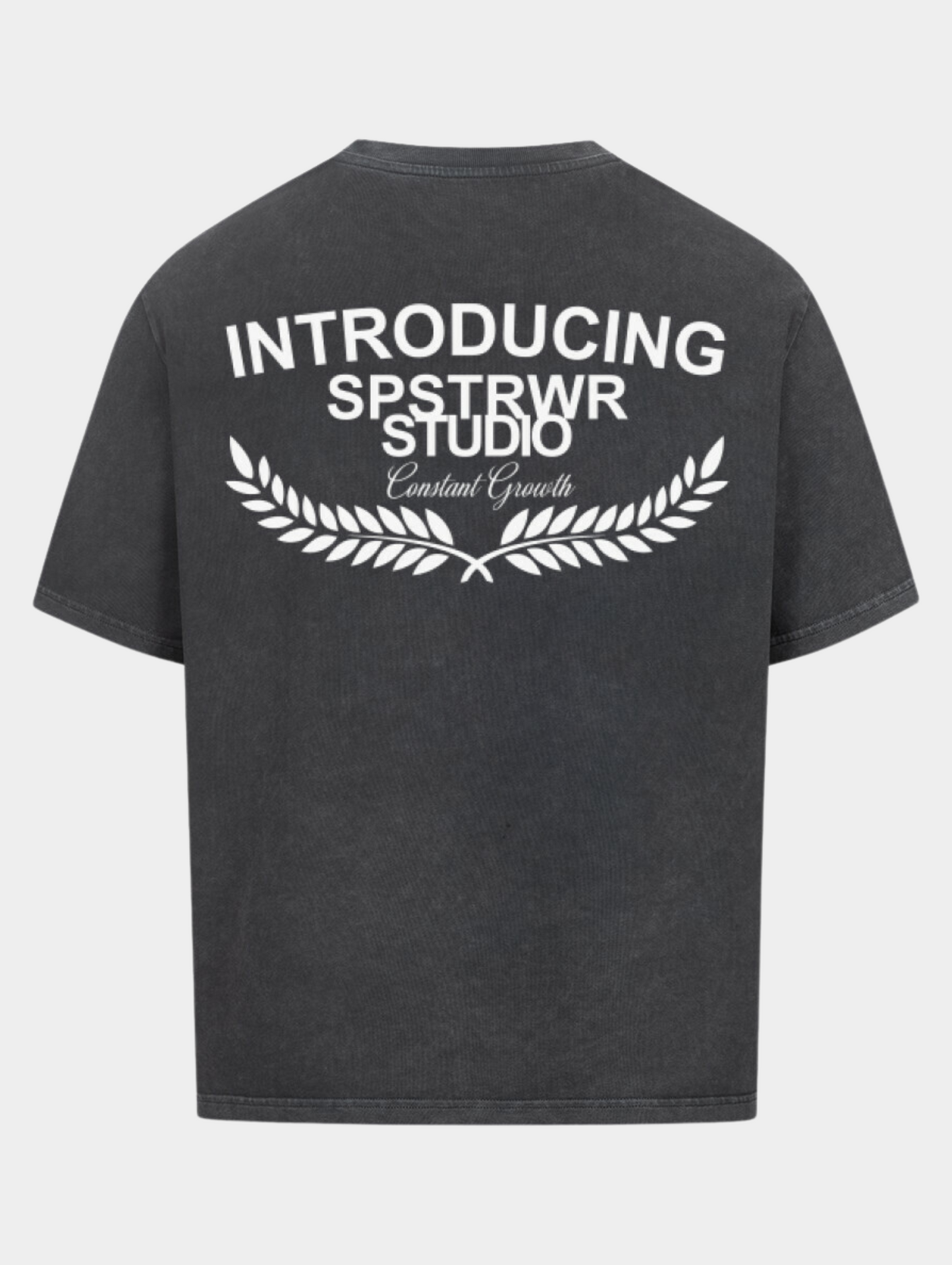 CONSTANT GROWTH TEE WASHED BLACK